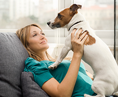 Landlords & letting agencies