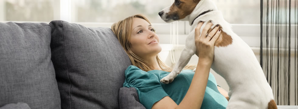 Find a pet-friendly property